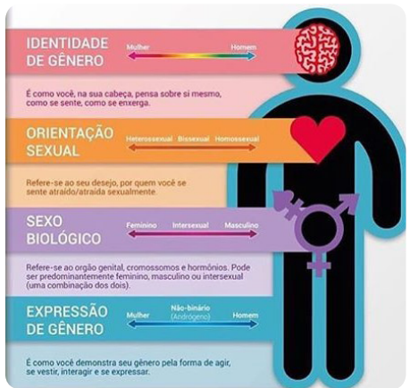 G Nero Sexualidade E Identidades